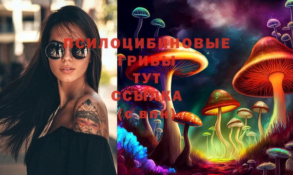 СК Вяземский