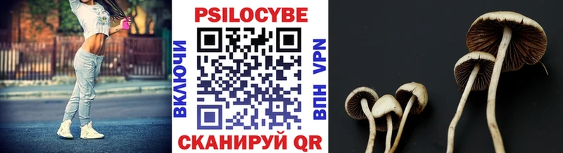 где купить   Ивдель  Псилоцибиновые грибы мицелий 