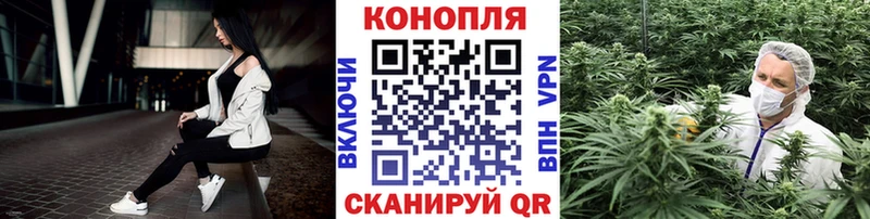 цена   Ивдель  Бошки Шишки сатива 